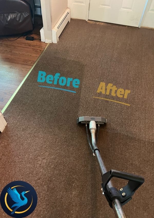 Carpet Cleaning Results 1
