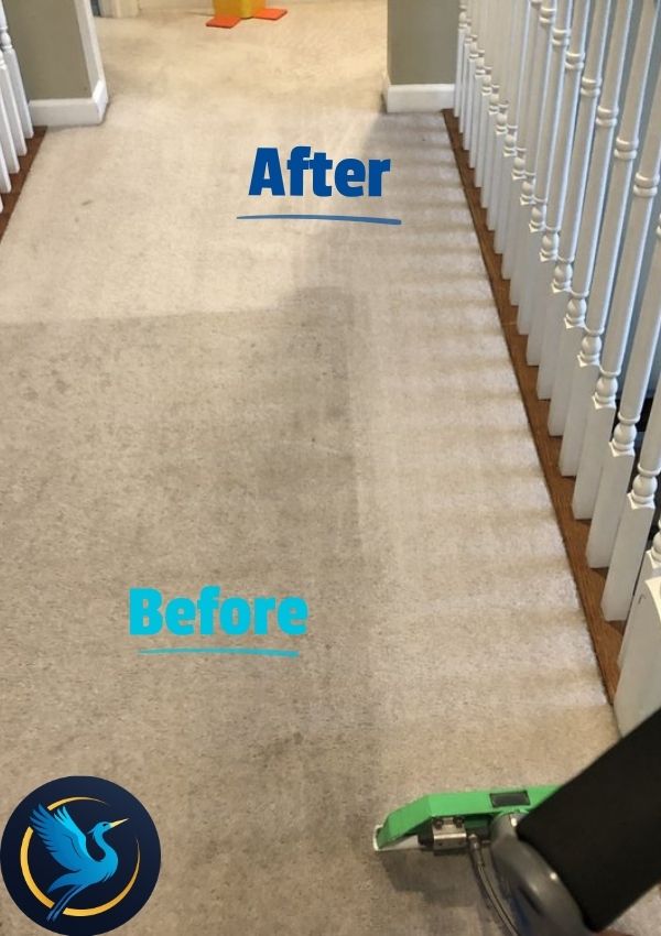 Carpet Cleaning Results 7