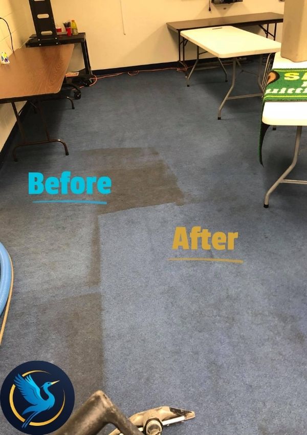 Carpet Cleaning Results 9