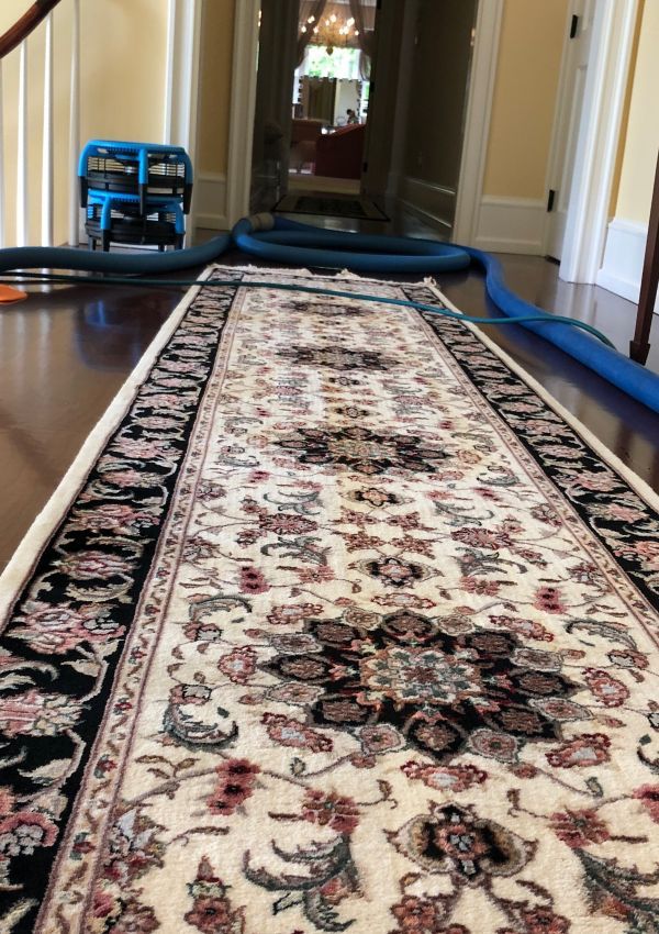 Area Rug Cleaning in Jenkintown PA