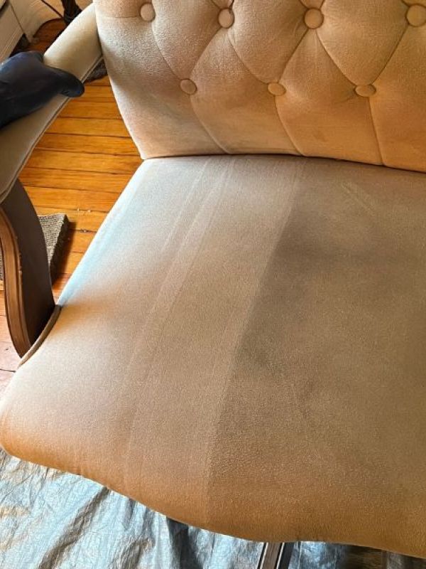 Upholstery Cleaning in Lincoln University PA
