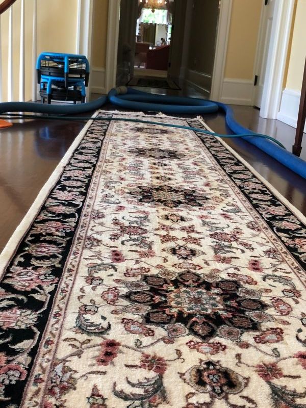 Area Rug Cleaning in Downingtown PA